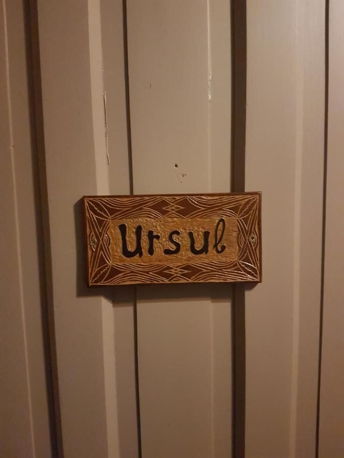 Гостевой дом Briza de Munte Бран-30