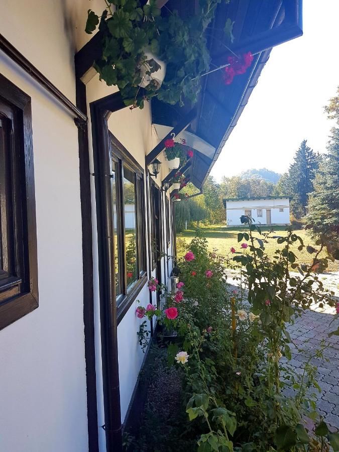 Гостевой дом Briza de Munte Бран-43