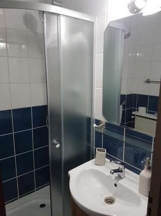 Гостевой дом Briza de Munte Бран Двухместный номер с 1 кроватью и собственной ванной комнатой-18