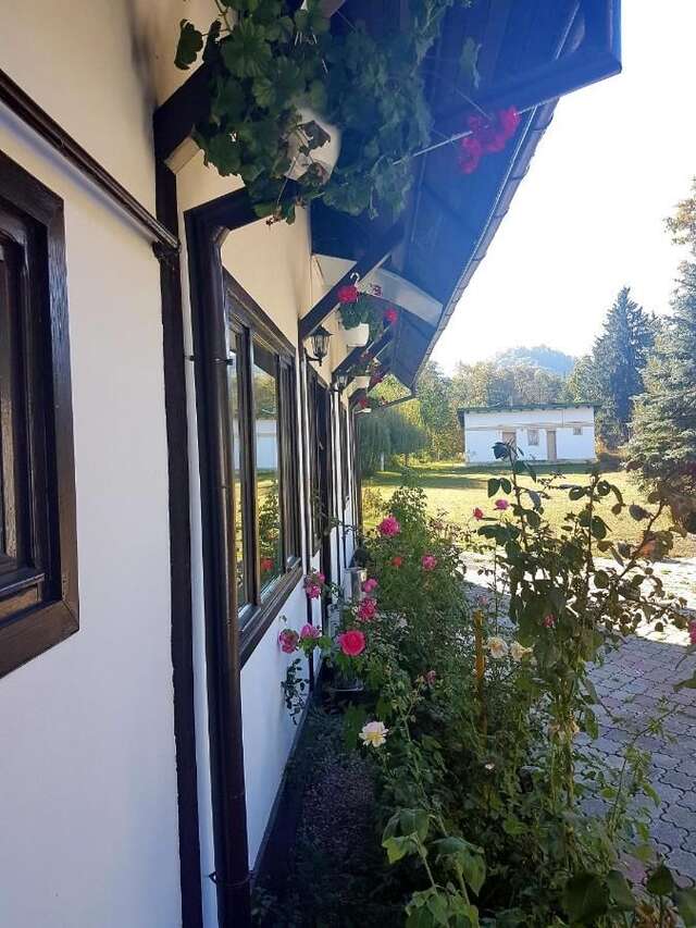 Гостевой дом Briza de Munte Бран-42